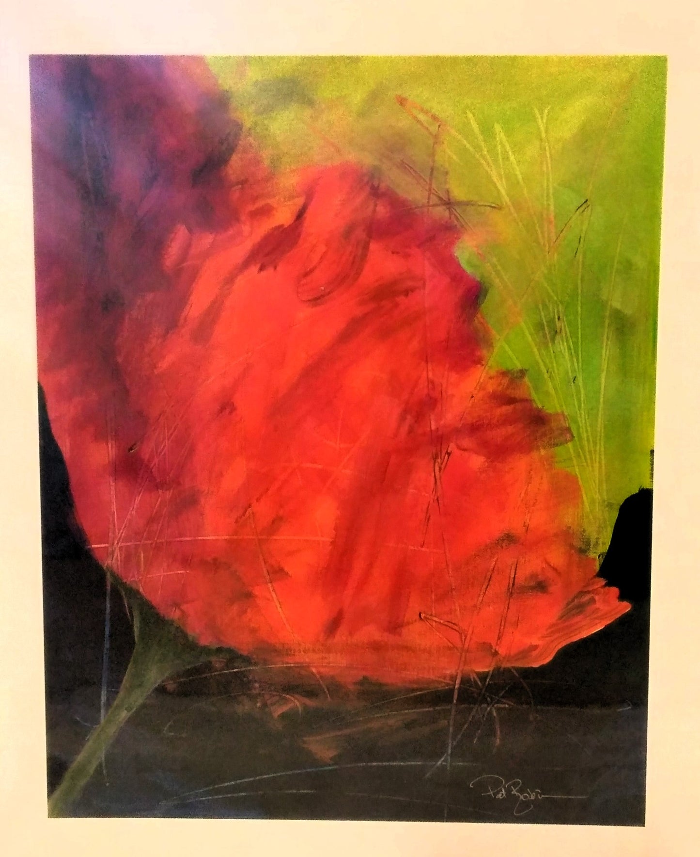 Pat Robinson - Wild Poppy