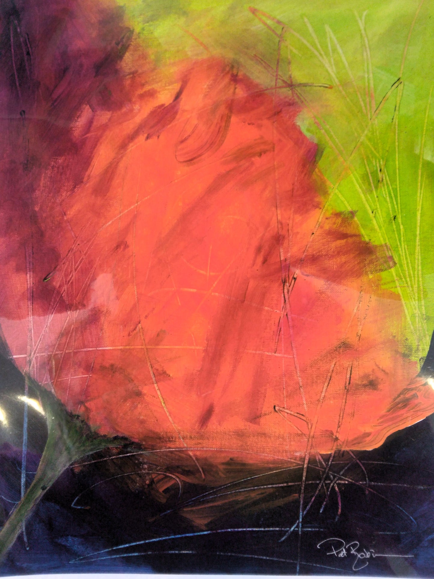 Pat Robinson - Wild Poppy