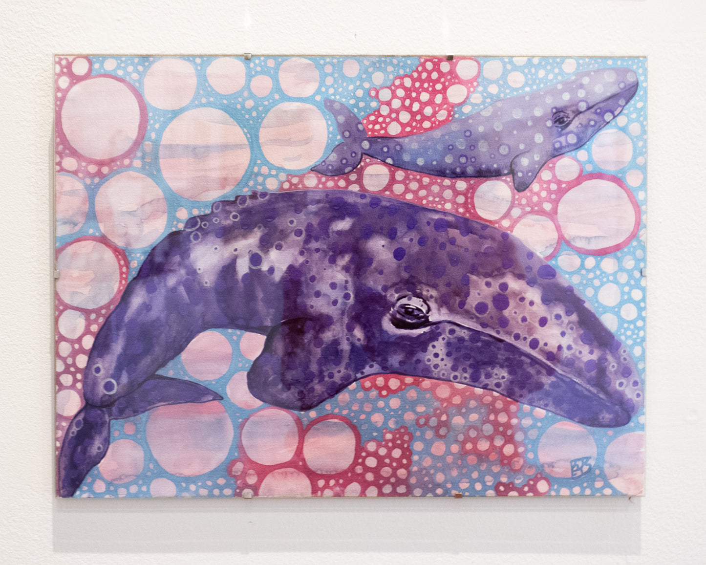 Kjelsty Hanson - Grey Whale
