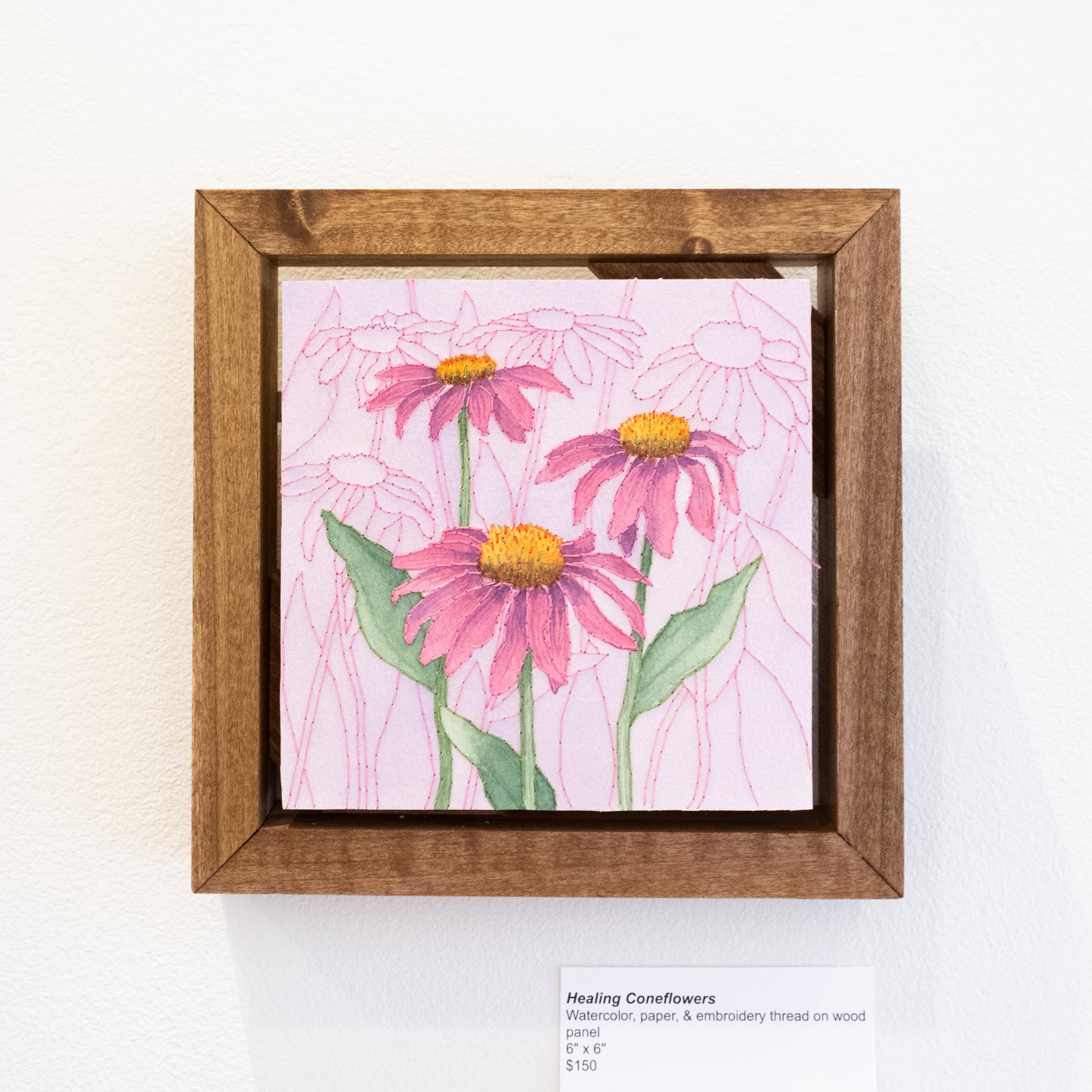 Nicole Nutt - Healing Coneflowers