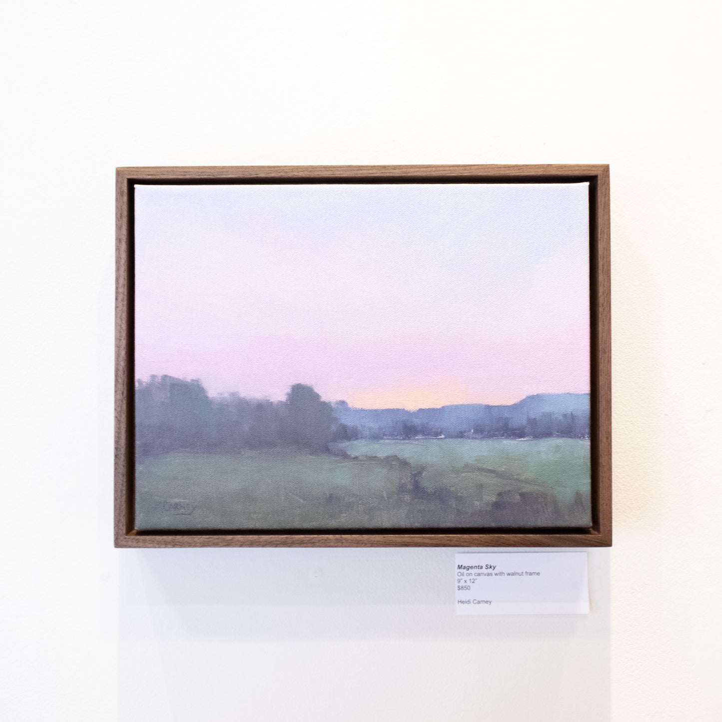 Heidi Carney - Magenta Sky
