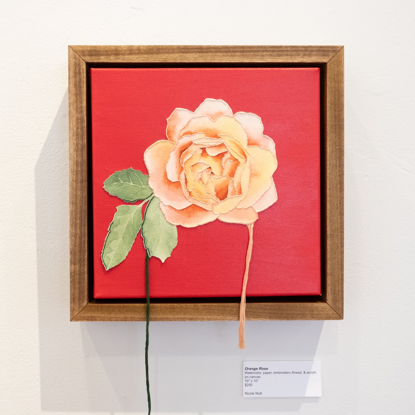 Nicole Nutt - Orange Rose
