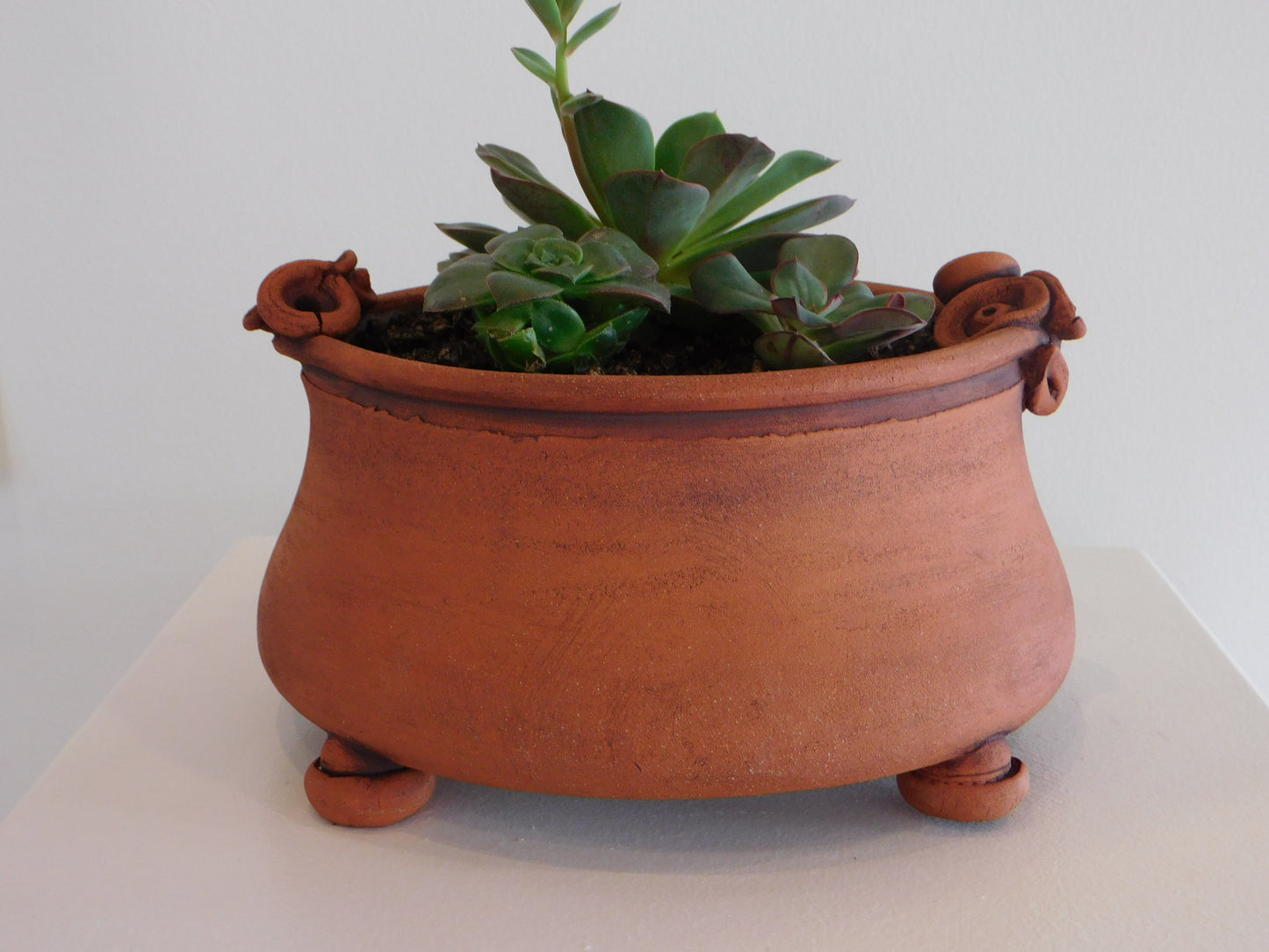 Louise Schollaert - Table Planter no Handle