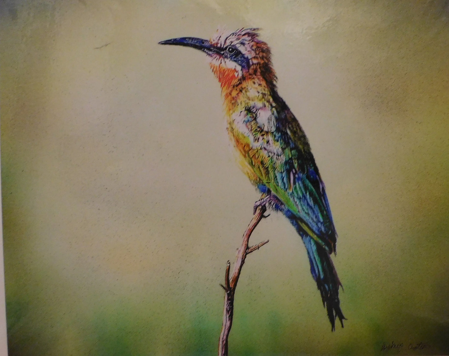Aimee Croteau - Bee Eater