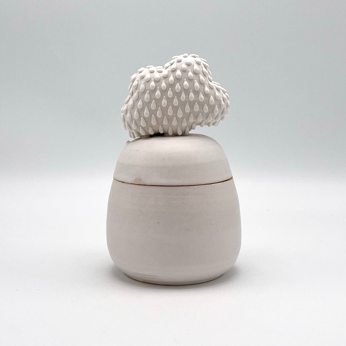 Casey Doyle - Lidded Cloud Vessel