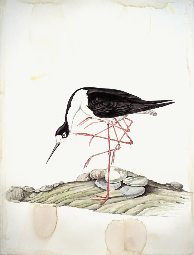 Justin Gibbens - Faules Paradise