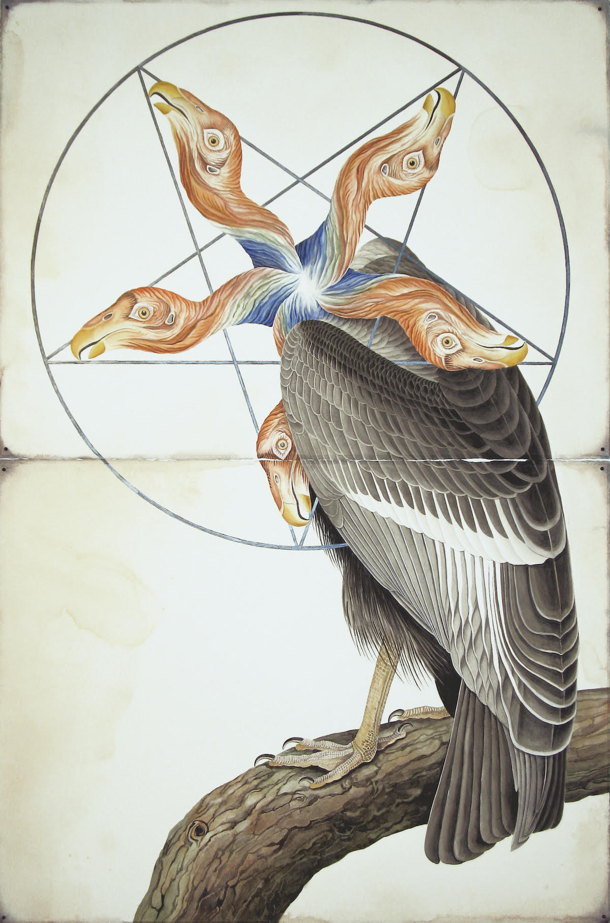 Justin Gibbens - Fiery-Faced Quintenneces