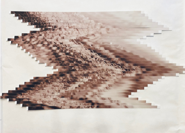 Chandra Paton Shupe - Asilomar Studies No. 8