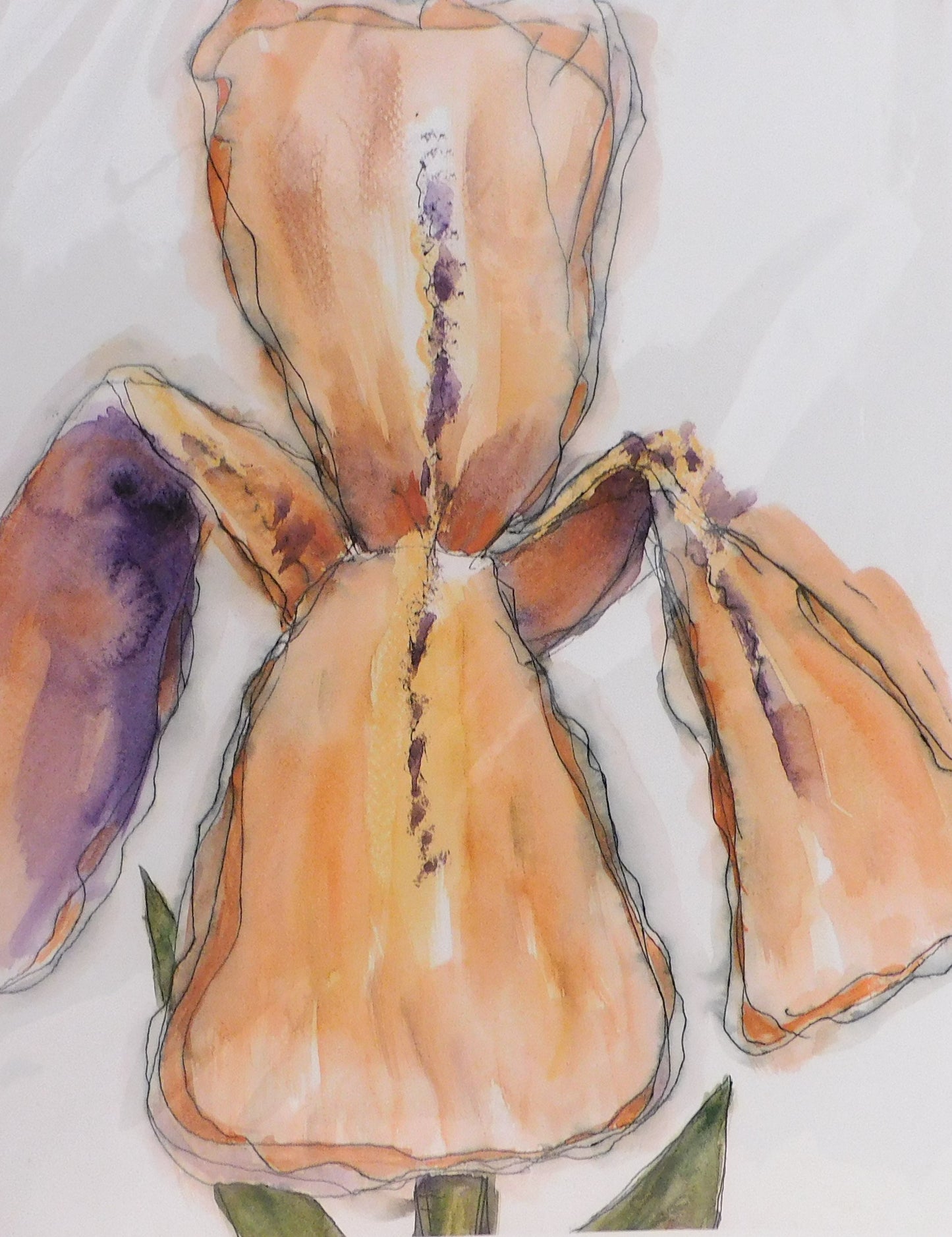 Pat Robinson - Orange Iris