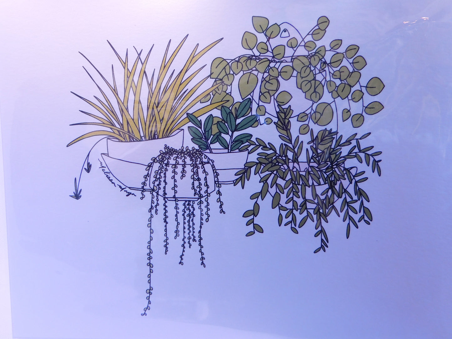 Maya Rumsey - Plant Print