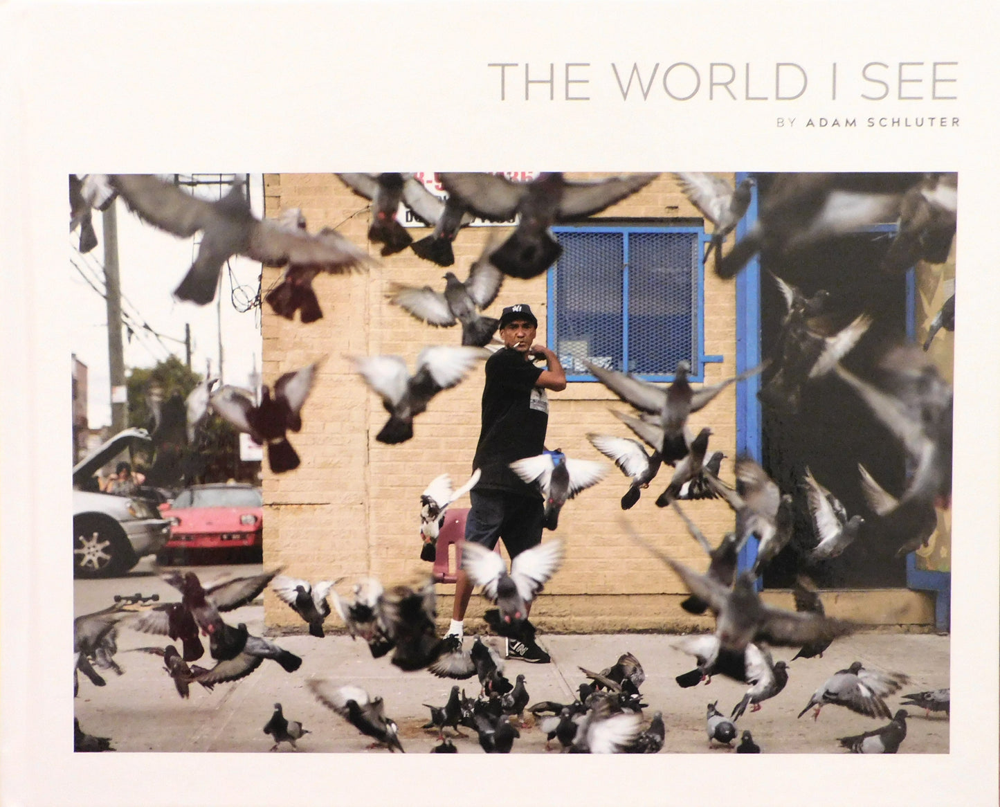 Adam Schluter - The World I See