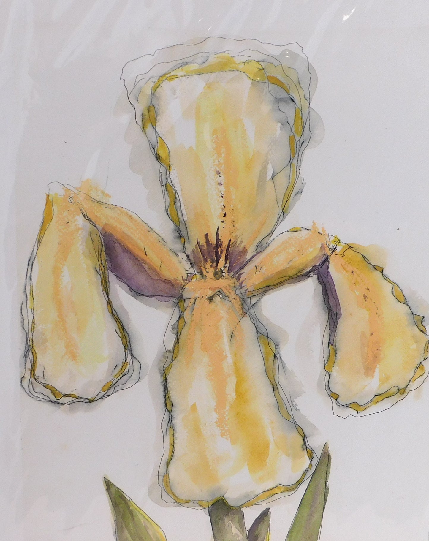 Pat Robinson - Yellow Iris