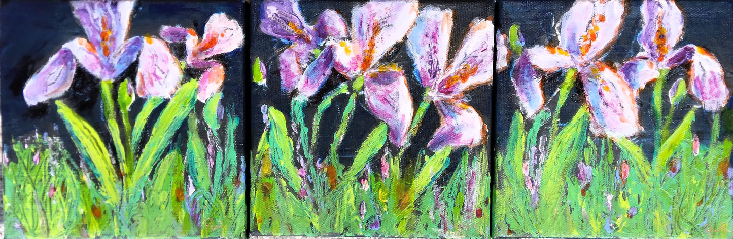 Pat Robinson - Seven Irises