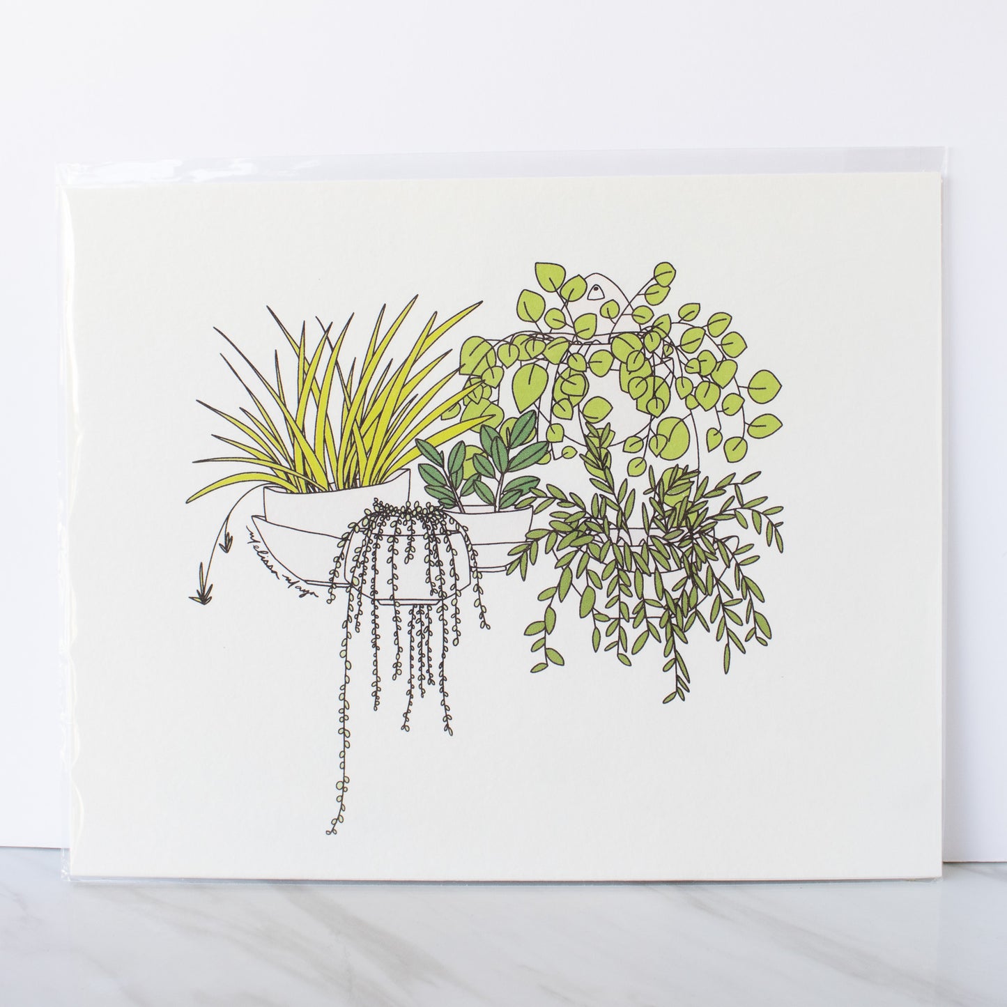 Maya Rumsey - Plant Print