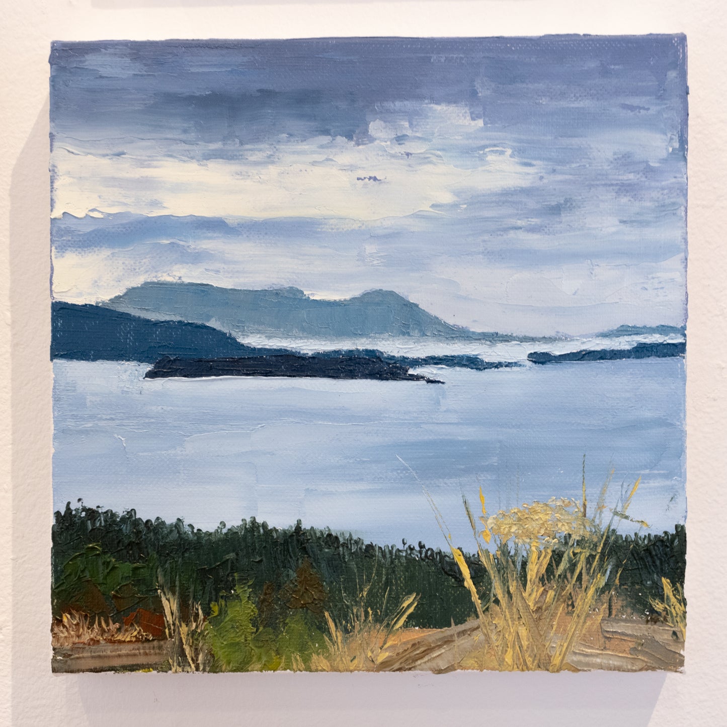 Pippin Christiansen - Samish Overlook