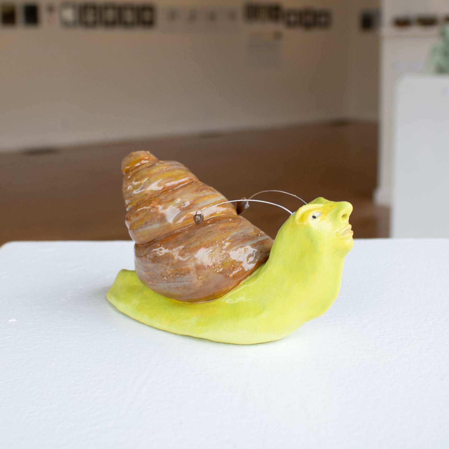 Loretta Surma - Snail