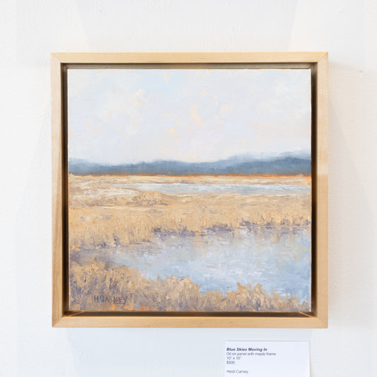 Heidi Carney - Blue Skies Moving In