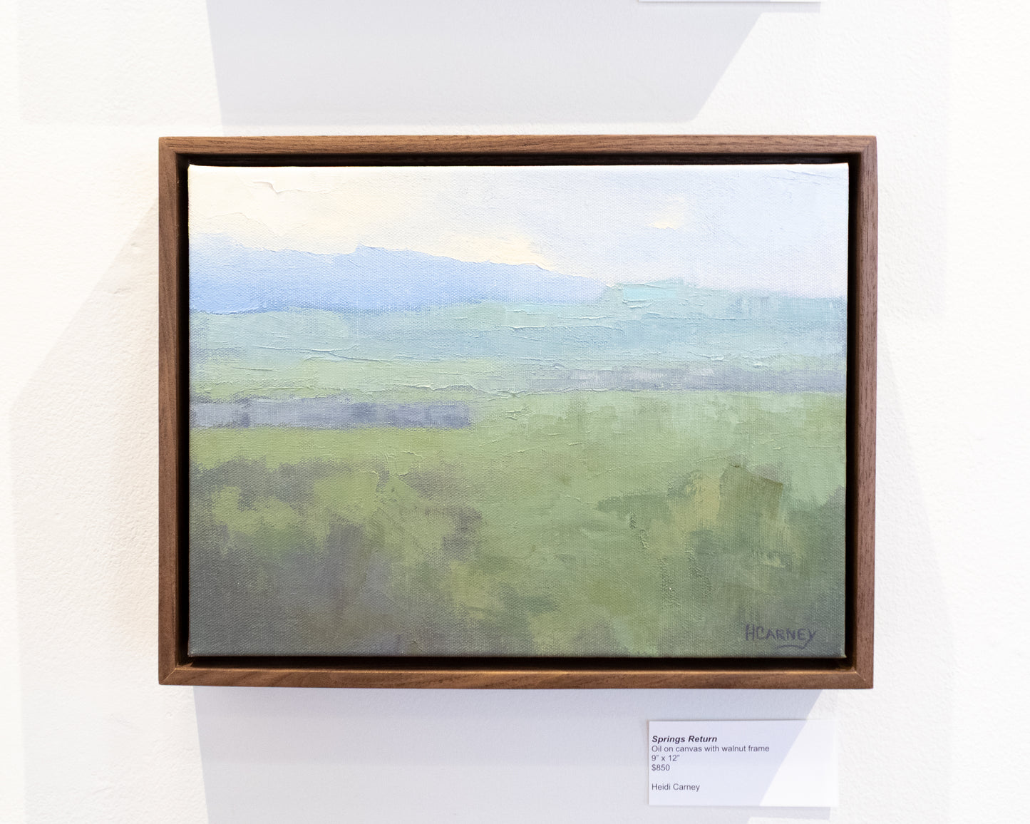 Heidi Carney - Springs Return