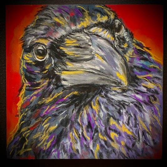 Paula Lewis - Bright AND Shiny