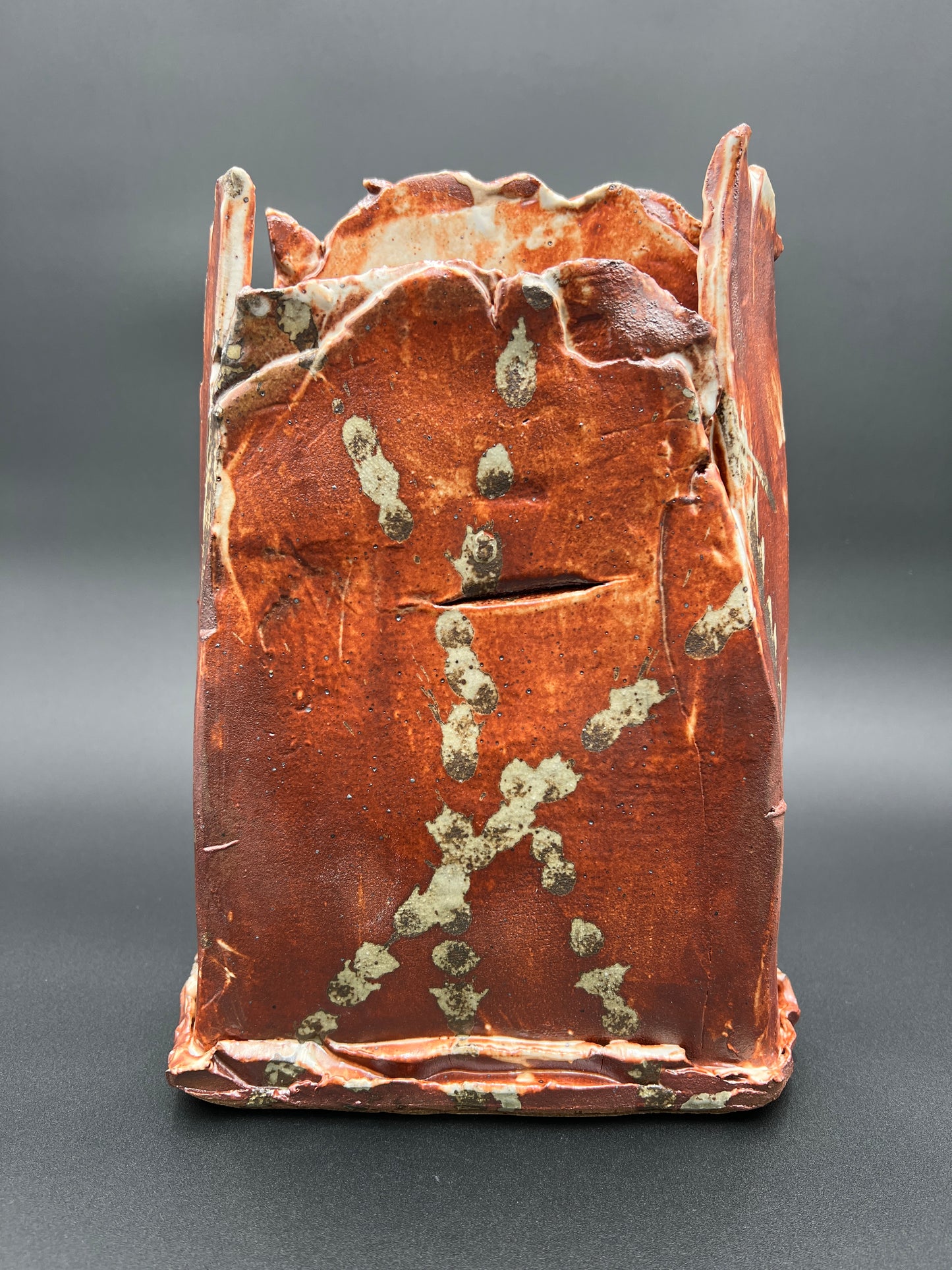 Michelle Schneider - Red Mountain Vase