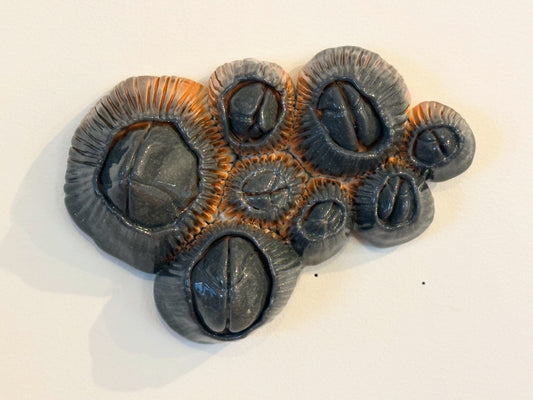 Pippin Christiansen - Wall Barnacles
