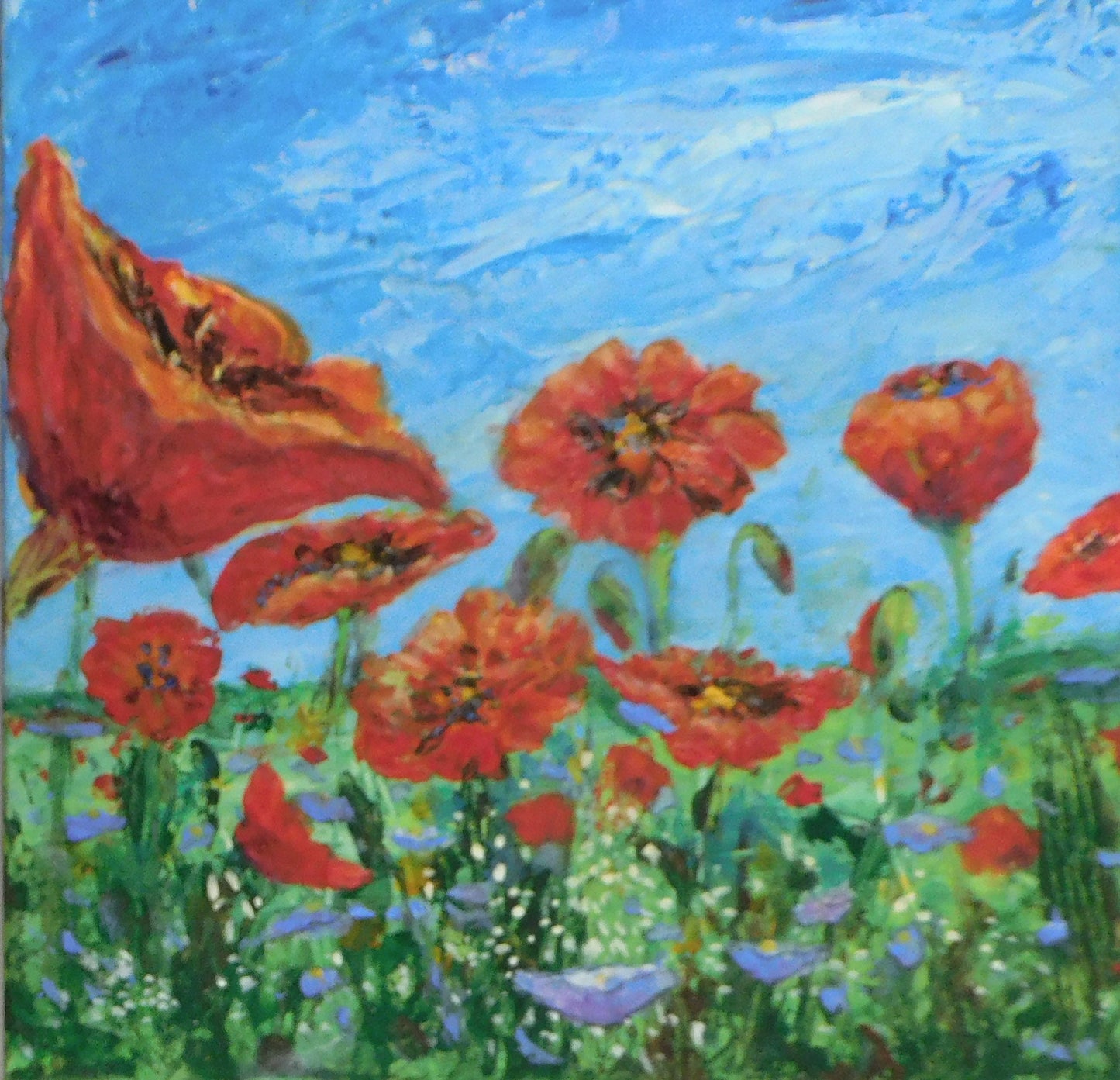 Pat Robinson -  Field of Poppies
