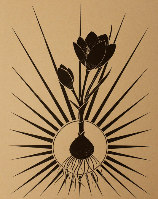 Maya Rumsey - Radiant Crocus Print